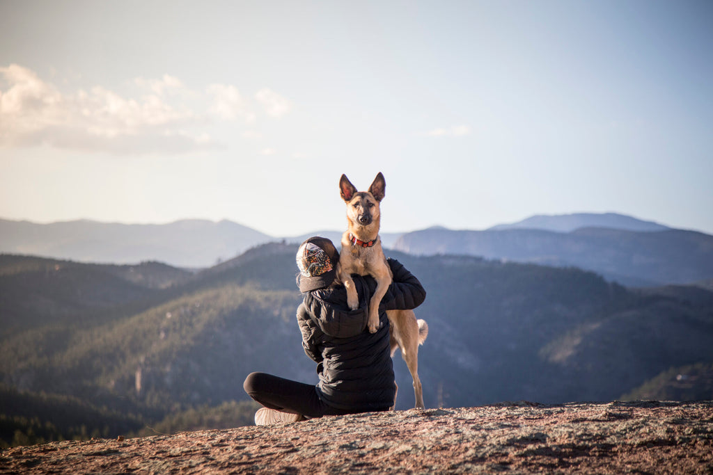 5 Gifts for Adventurous Pups