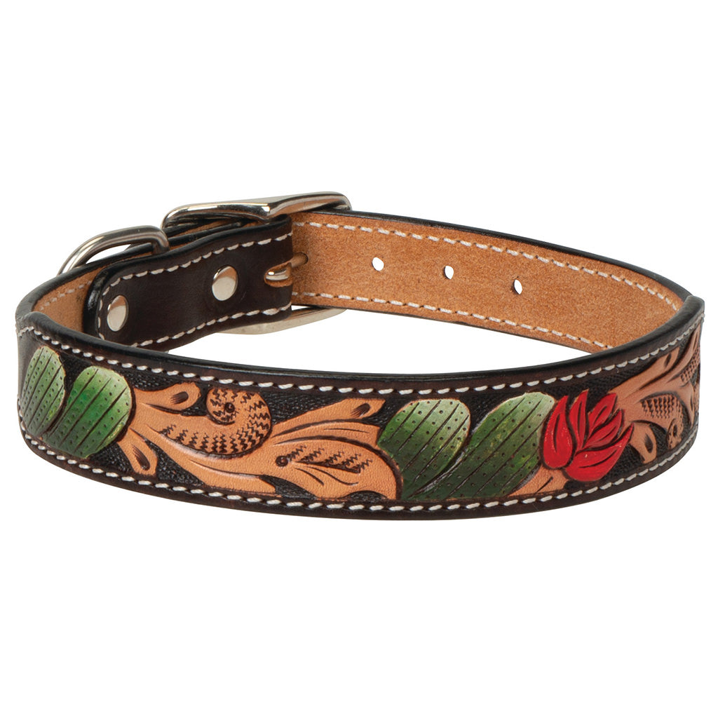 Painted Cactus Leather Dog Collar
