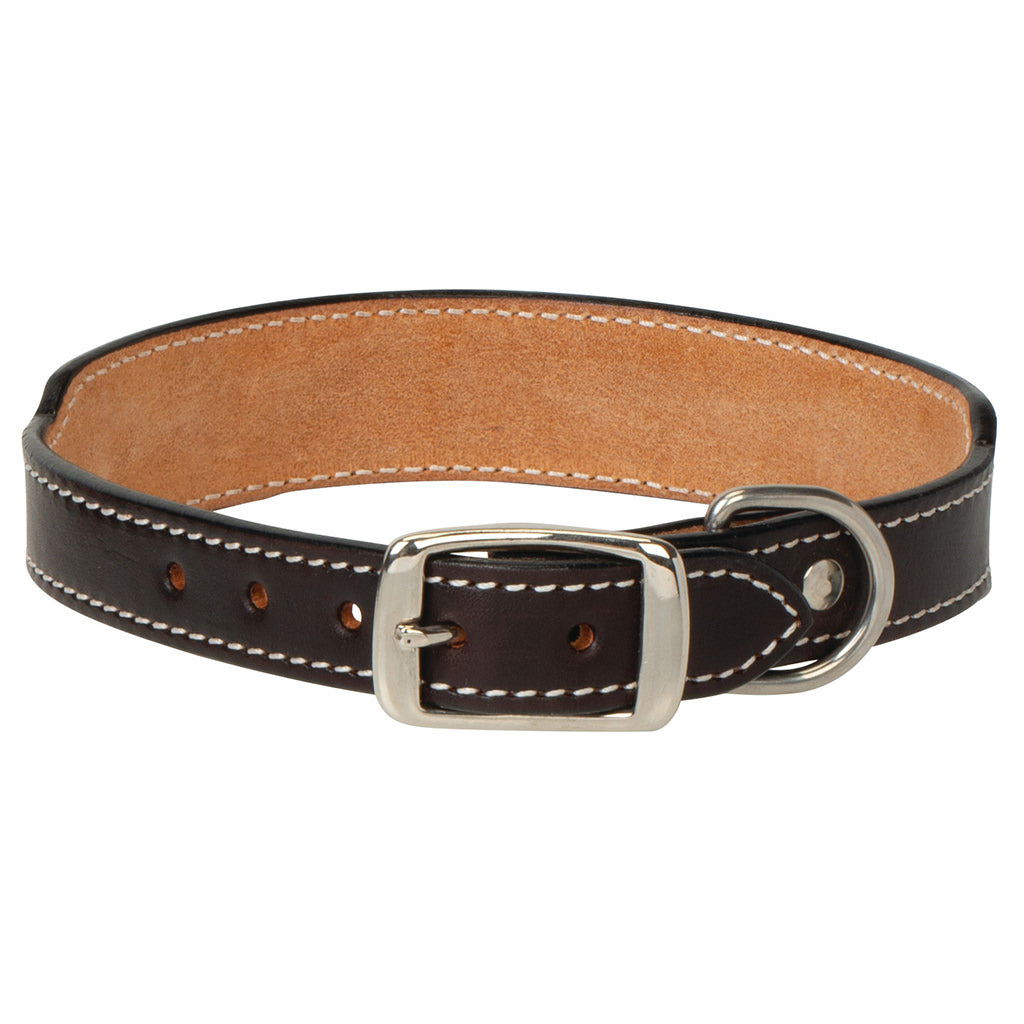 Painted Cactus Leather Dog Collar