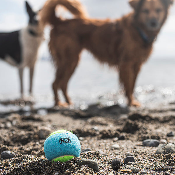 Tennis Balls, Three-Pack