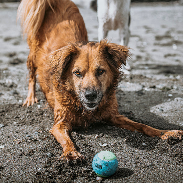 Tennis Balls, Three-Pack