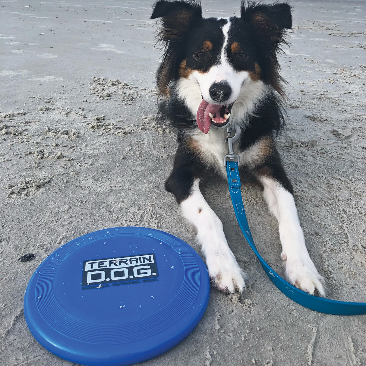 Terrain DOG Blue Flying Disc