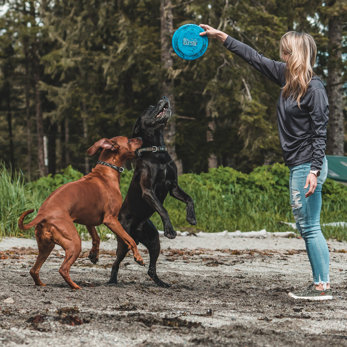 Terrain DOG Blue Flying Disc