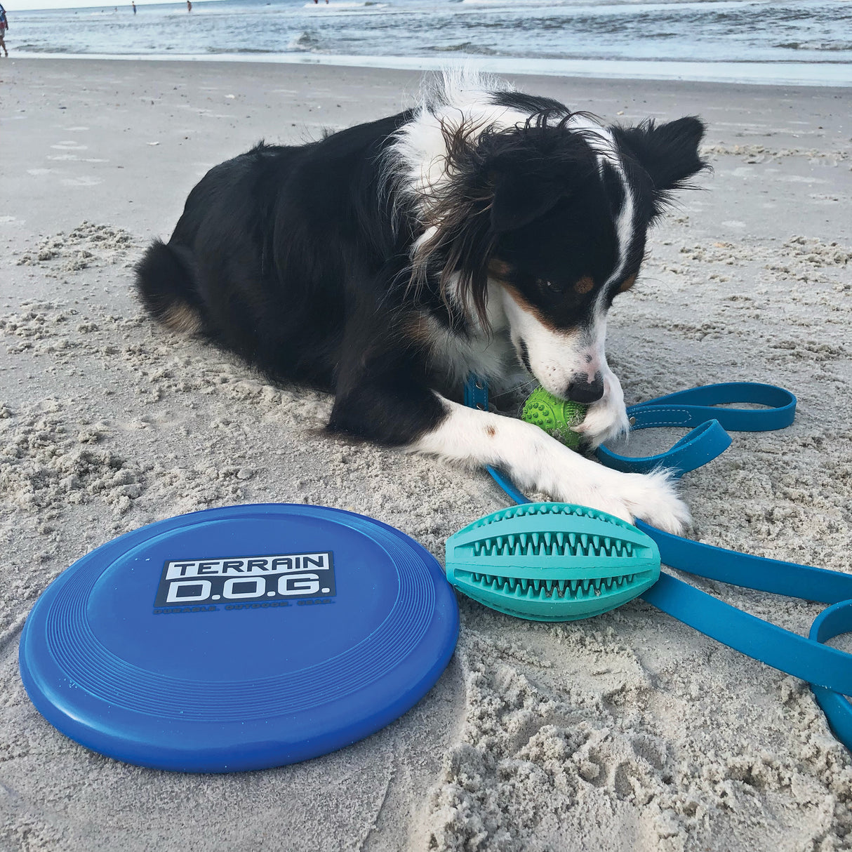 Terrain DOG Blue Flying Disc