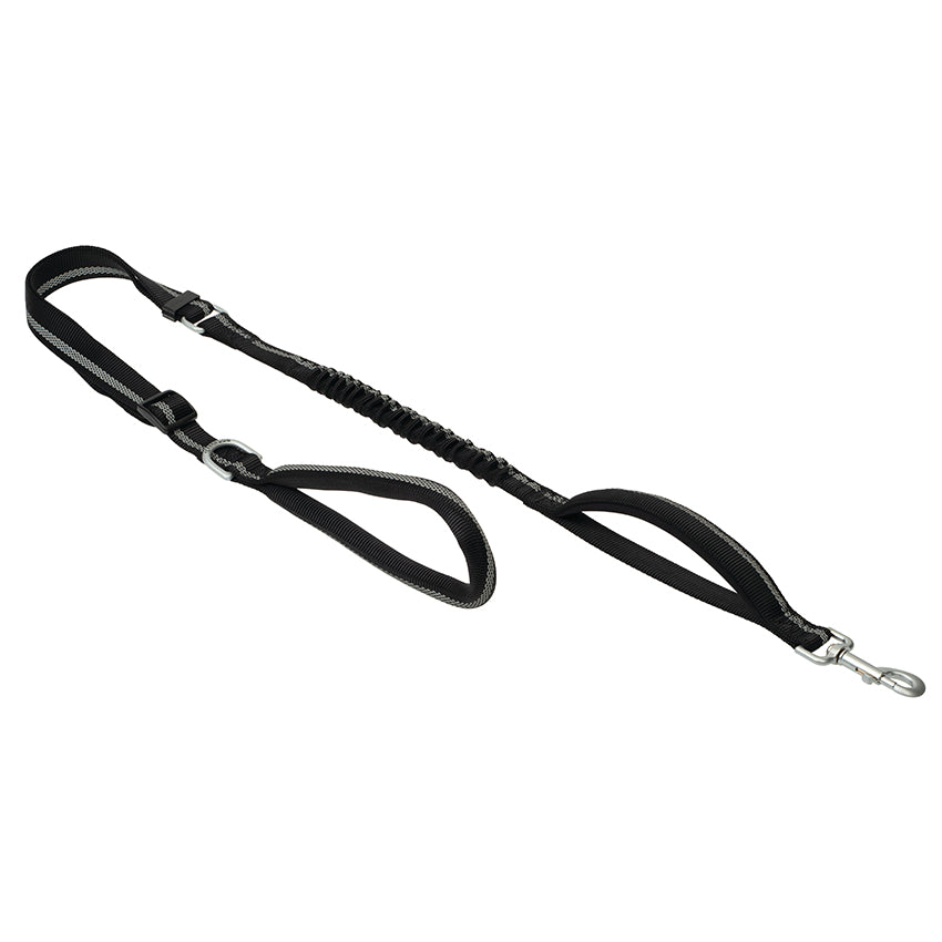 Bungee Leash