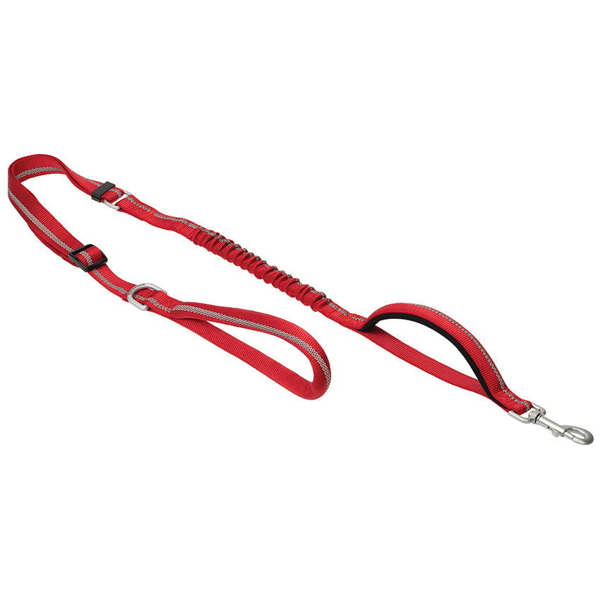 Bungee Leash
