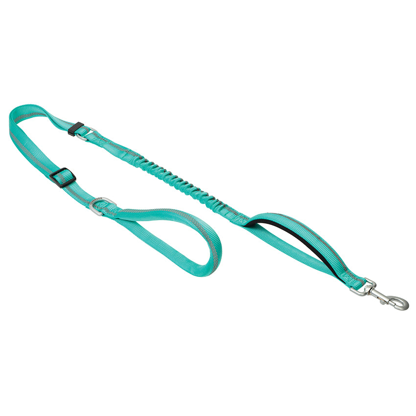 Bungee Leash