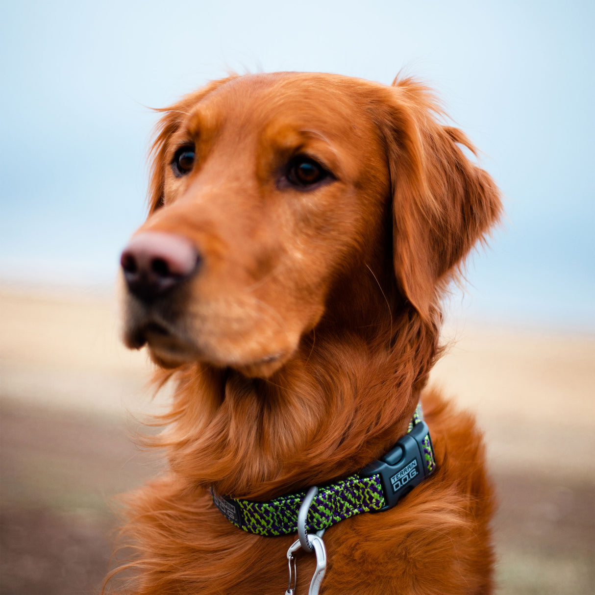 Elevation Air Snap-N-Go Collar