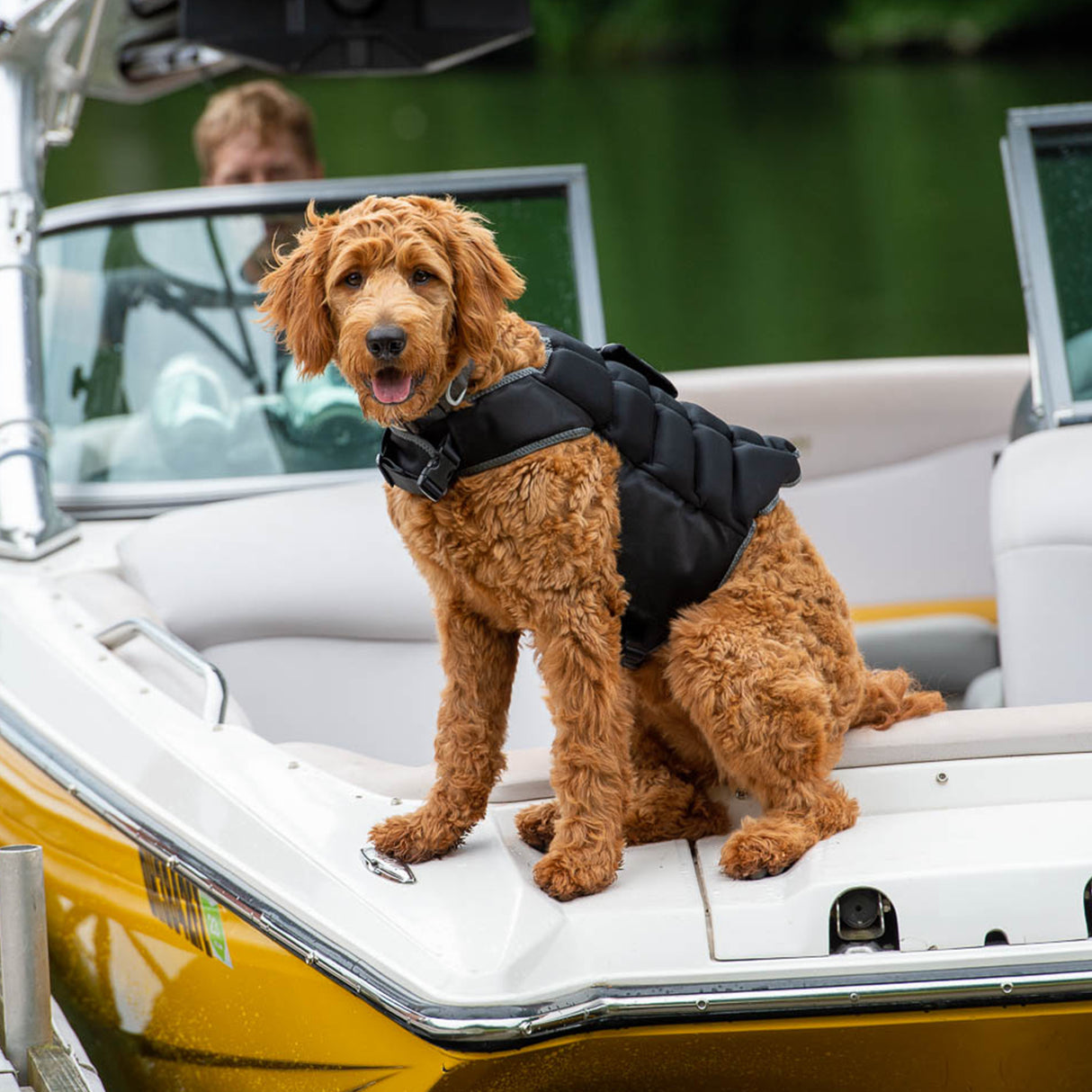 Swim Vest