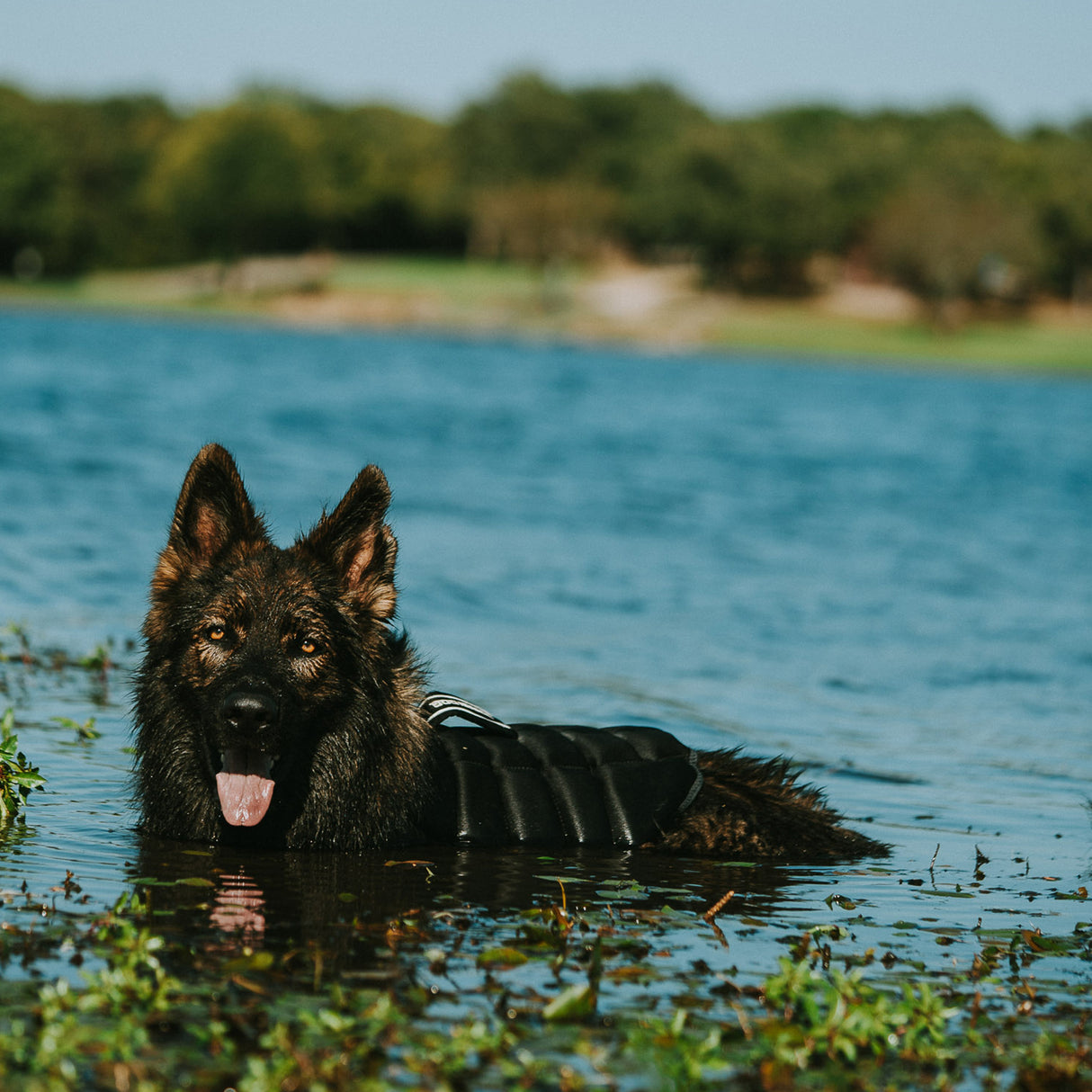 Swim Vest