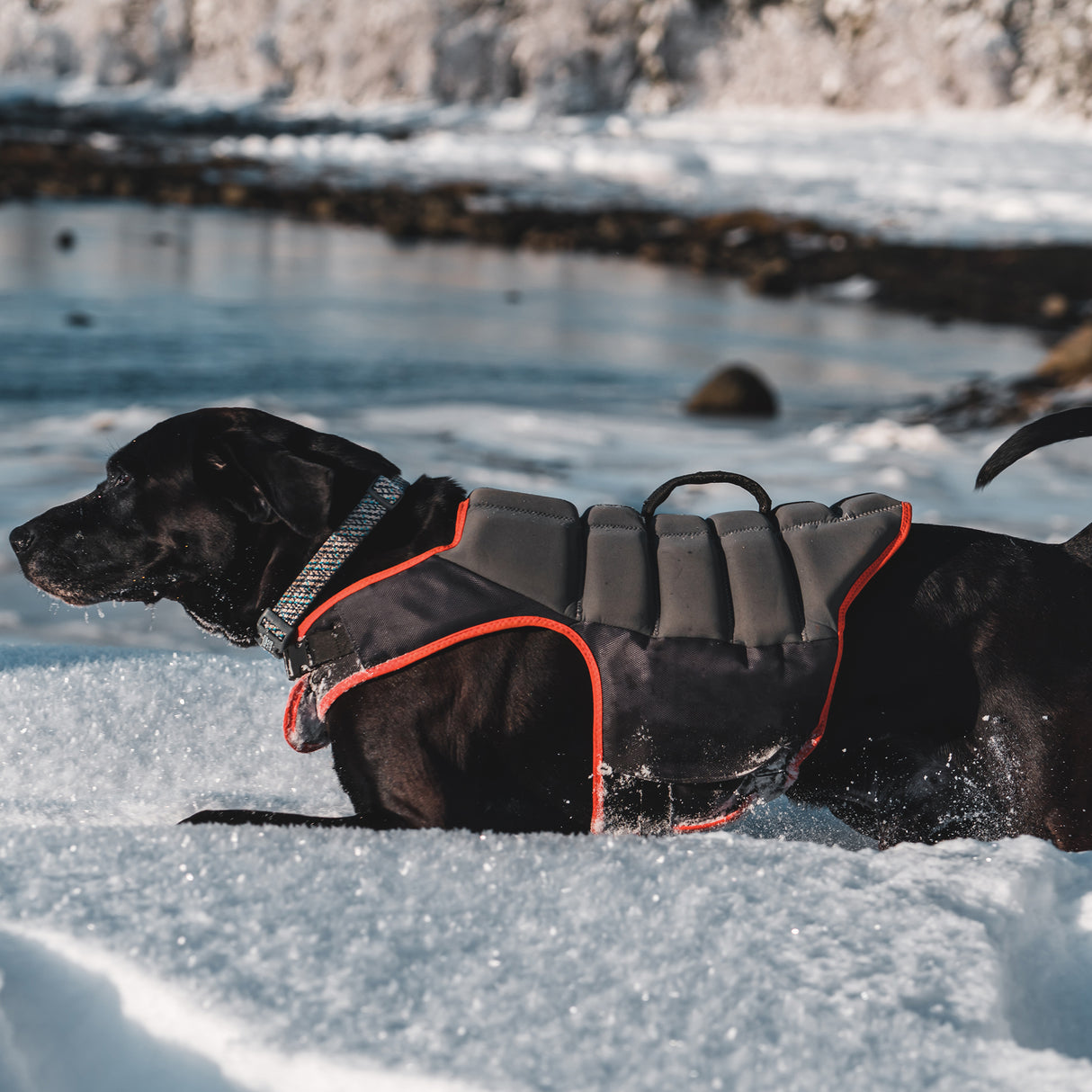 Swim Vest