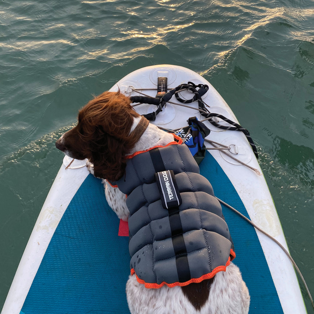 Swim Vest