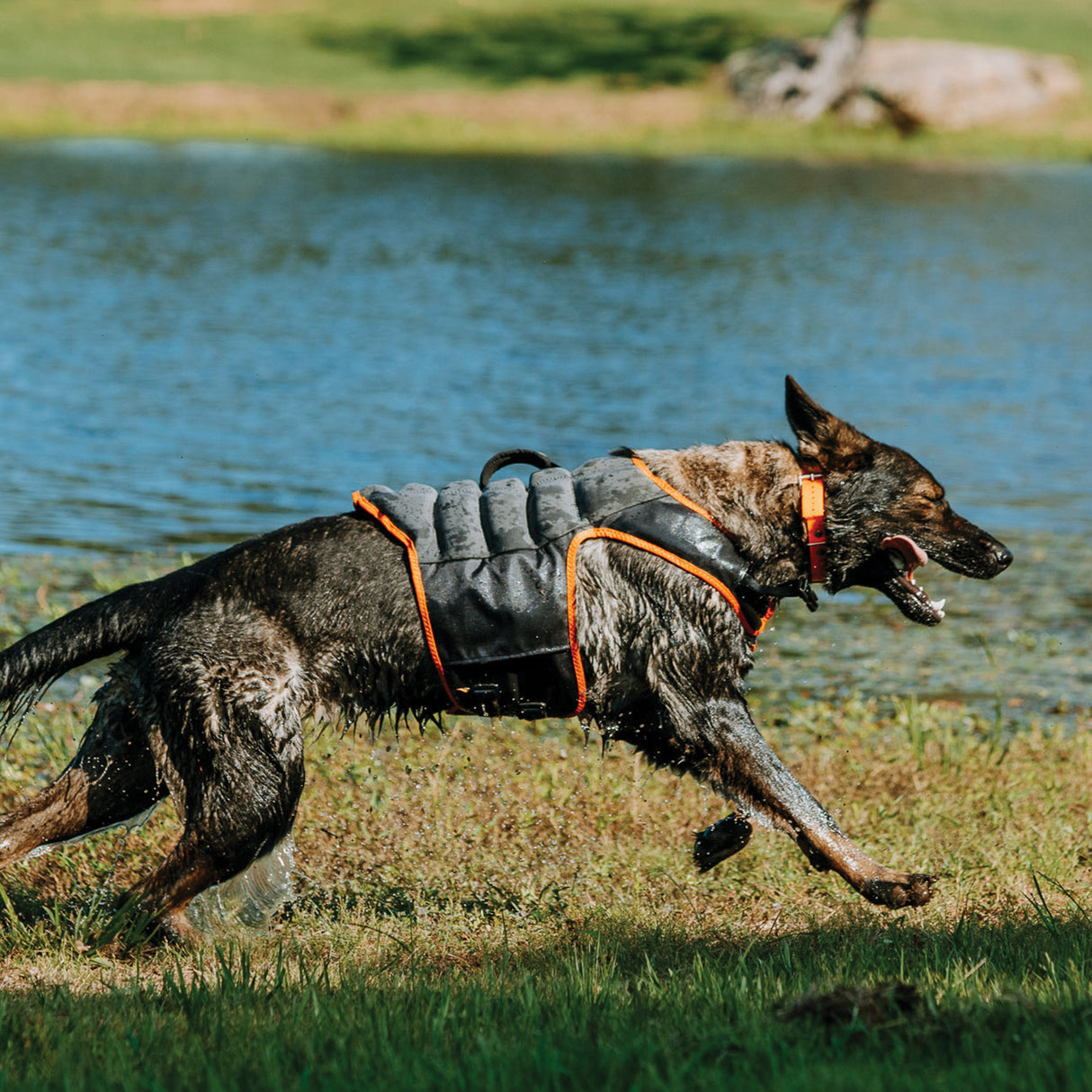 Swim Vest