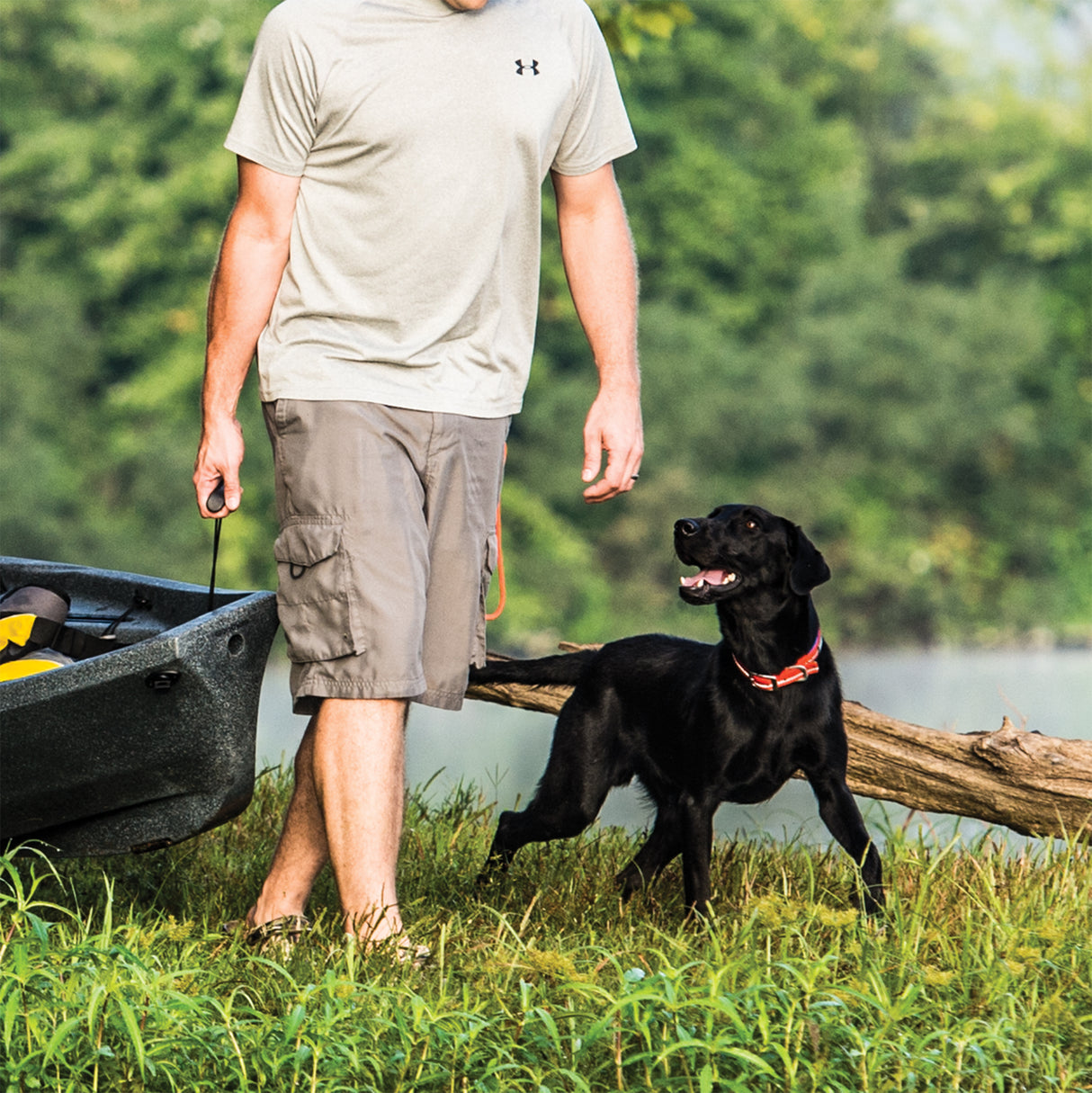 Reflective Neoprene Lined Collar