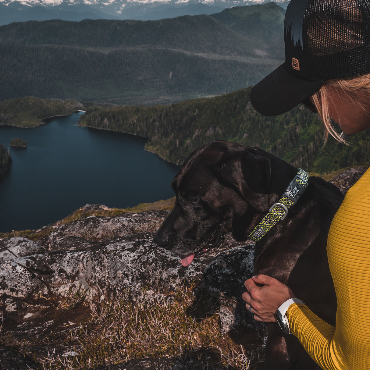 Elevation Air Snap-N-Go Collar