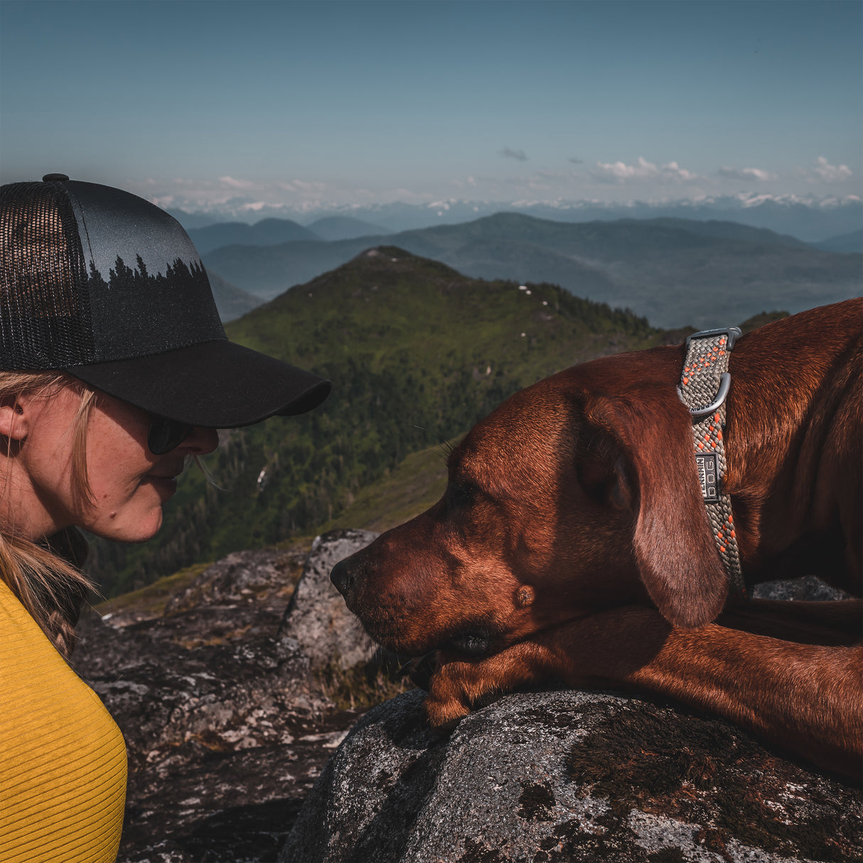 Elevation Snap-N-Go Collar