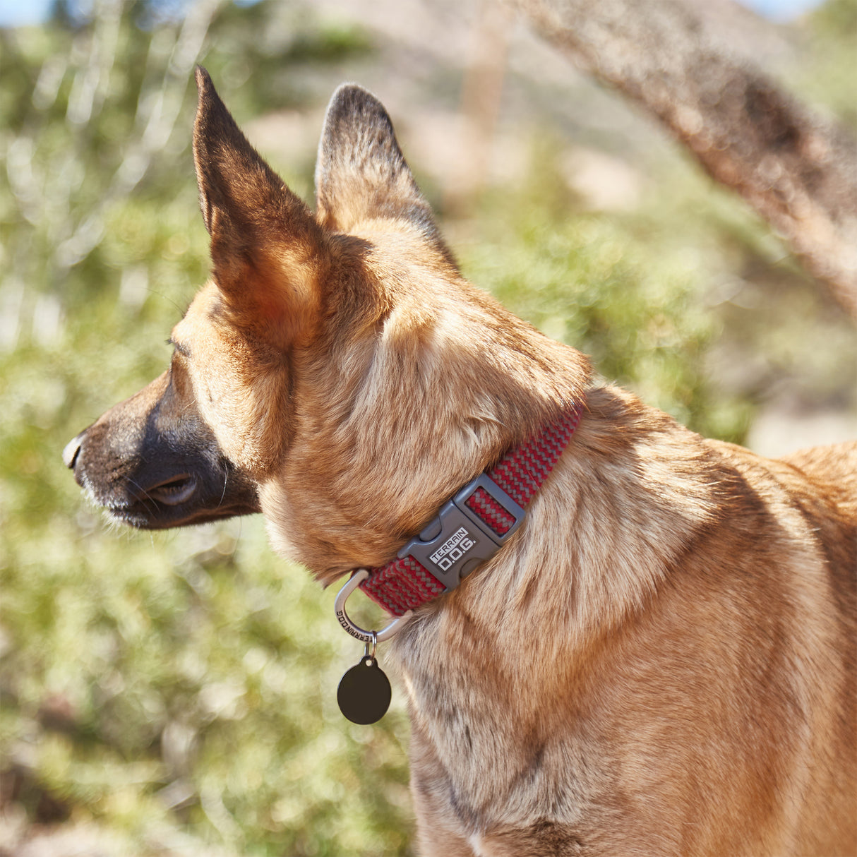 Bamboo Adjustable Snap-N-Go Collar