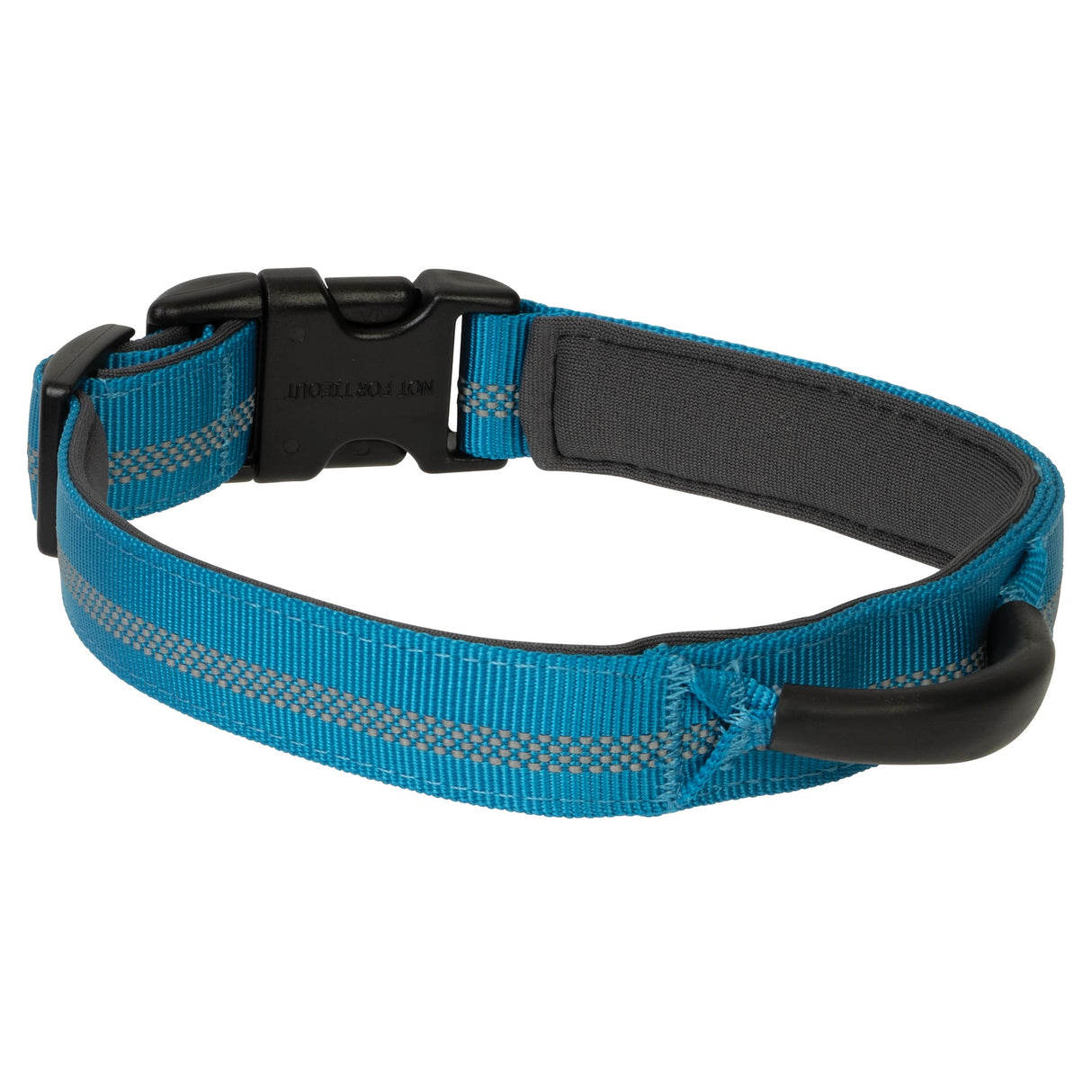 Venture Padded Dog Collar