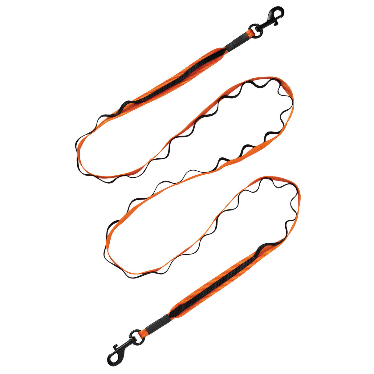 Venture Dual Snap Leash