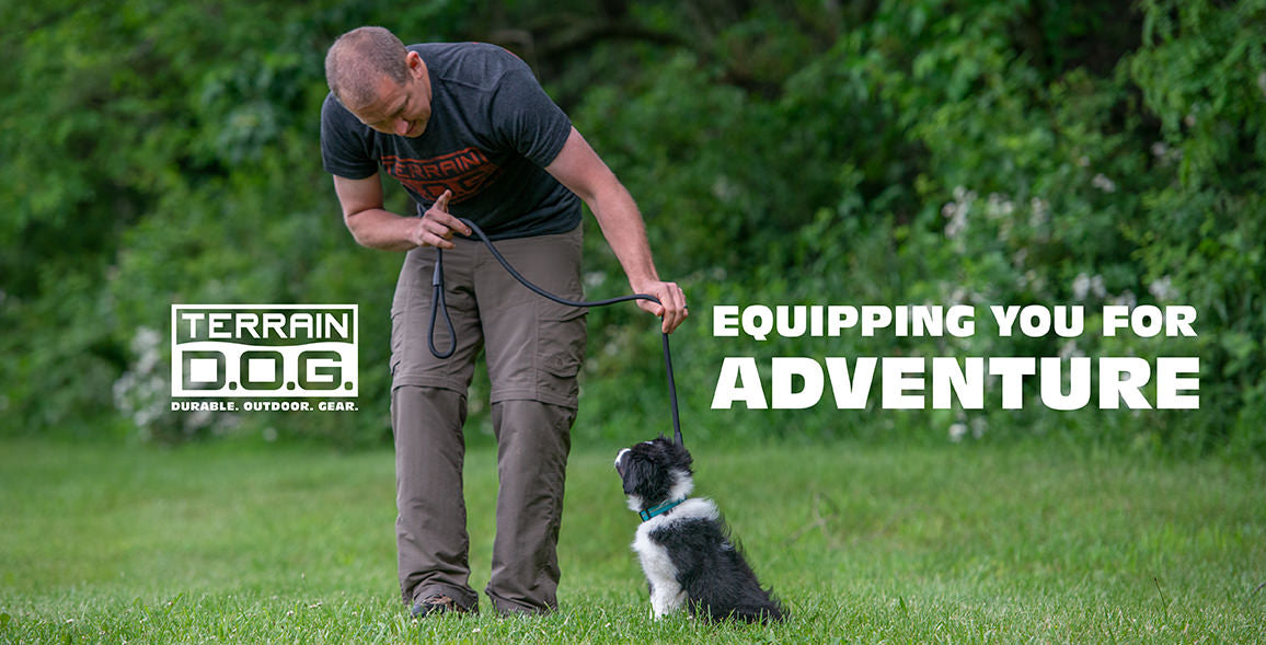 A trainer, training a Dog