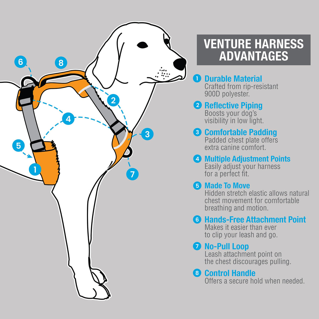 Venture Harness