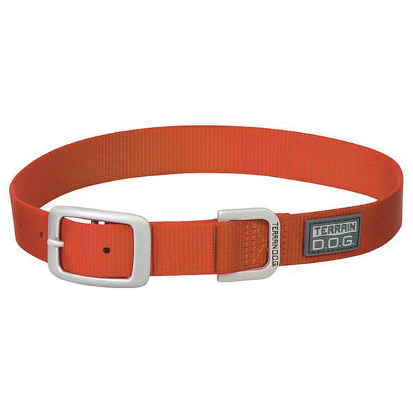 Nylon Single-Ply Dog Collar, Orange, 1" x 19"