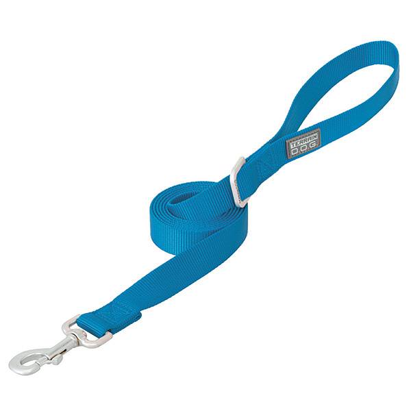 Nylon Single-Ply Dog Leash, 1" x 4', Blue