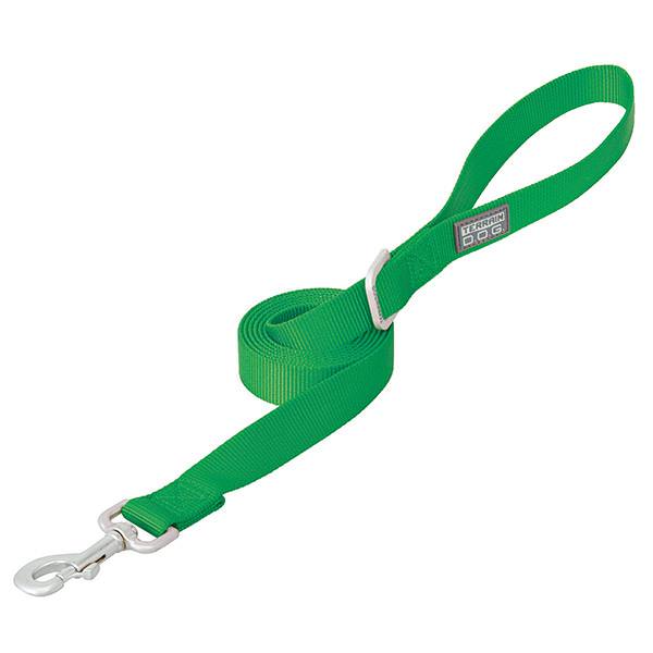 Nylon Single-Ply Dog Leash, 1" x 4', Green