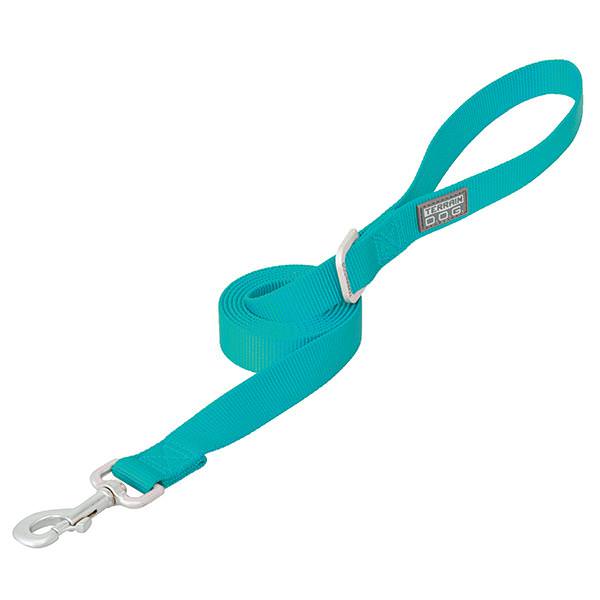 Nylon Single-Ply Dog Leash, 1" x 4', Mint
