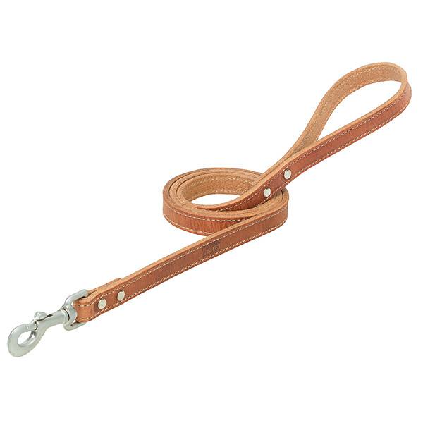 Harness Leather Dog Leash, 3/4" x 4'