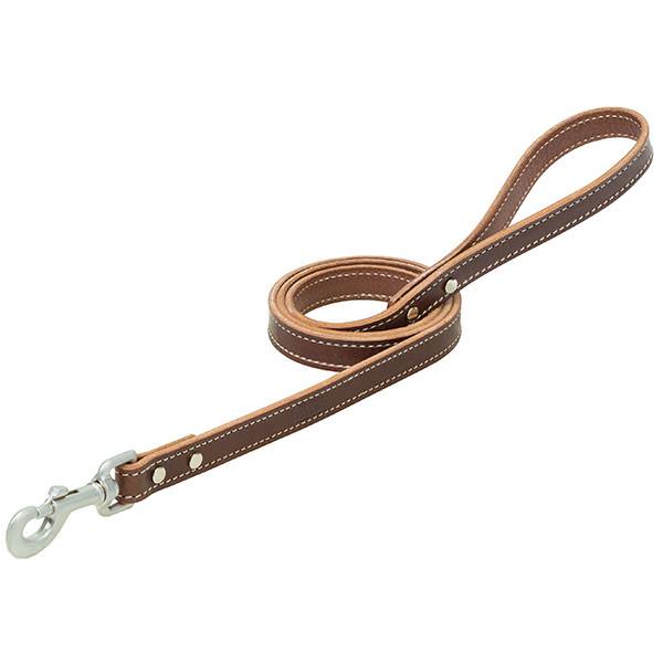 Bridle Leather Dog Leash, Brown, 3/4" x 4'