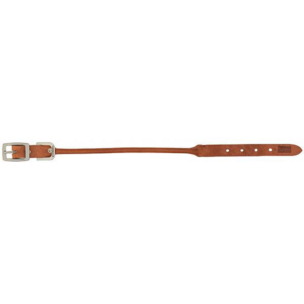 Harness Leather Rolled Dog Collar, 3/4" x 13"