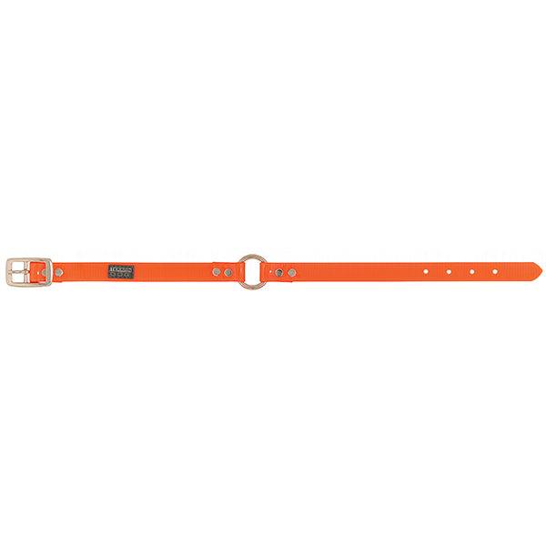 Brahma Webb ® Clear Coat Dog Collar, Blaze Orange, 3/4" x 13"