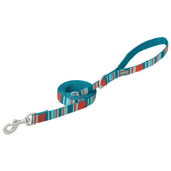 Patterned Leash, 3/4" x 4', Teal/Red Stripes