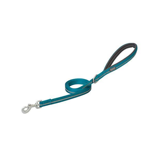 Reflective Neoprene Lined Dog Leash, 3/4" x 4', Blue Bay