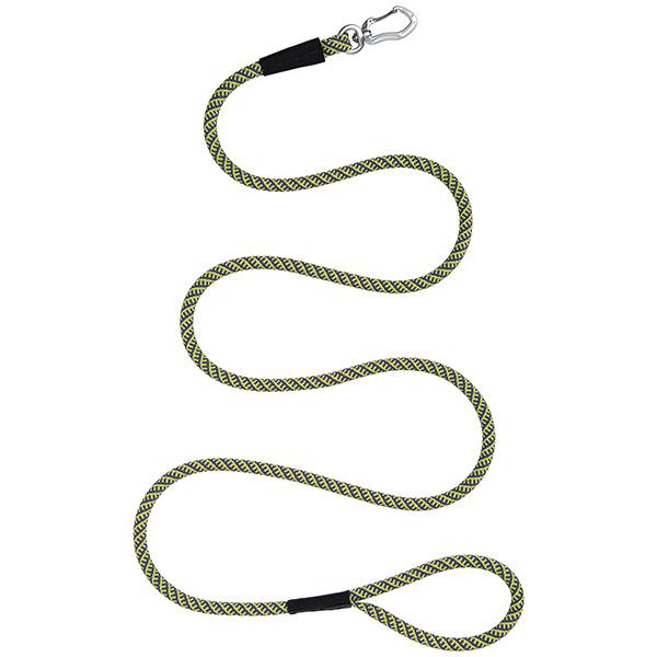 Elevation Dog Leash, Lime/Purple