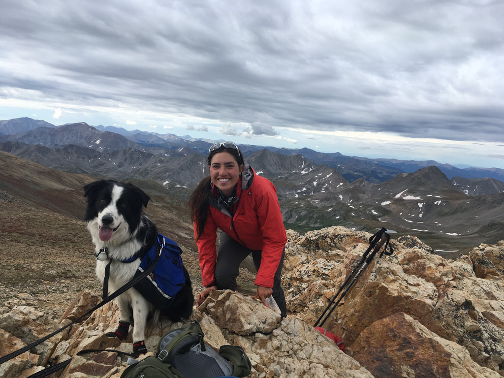 Bucket List Dog Friendly Hikes for 2019