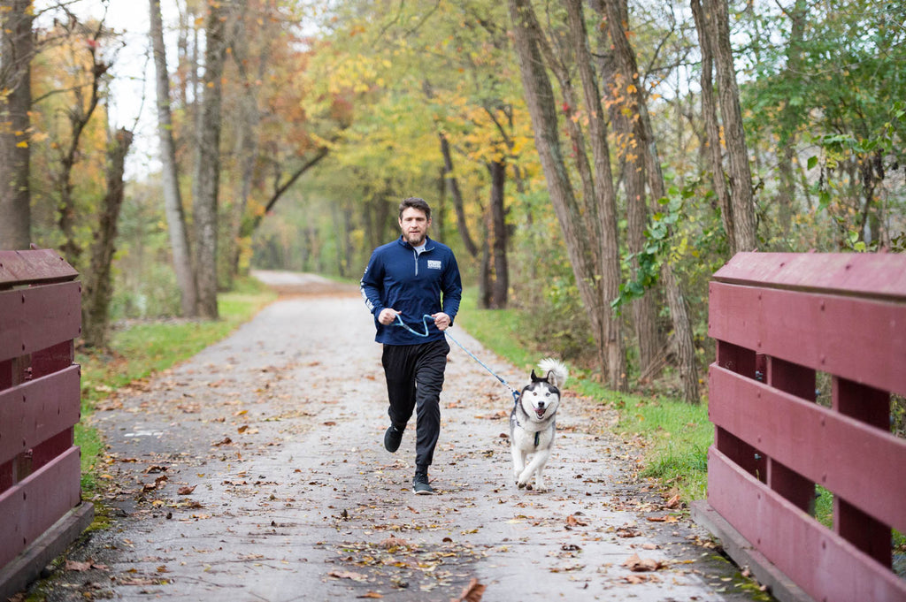 How to Exercise a High-Energy Dog During the Work Week