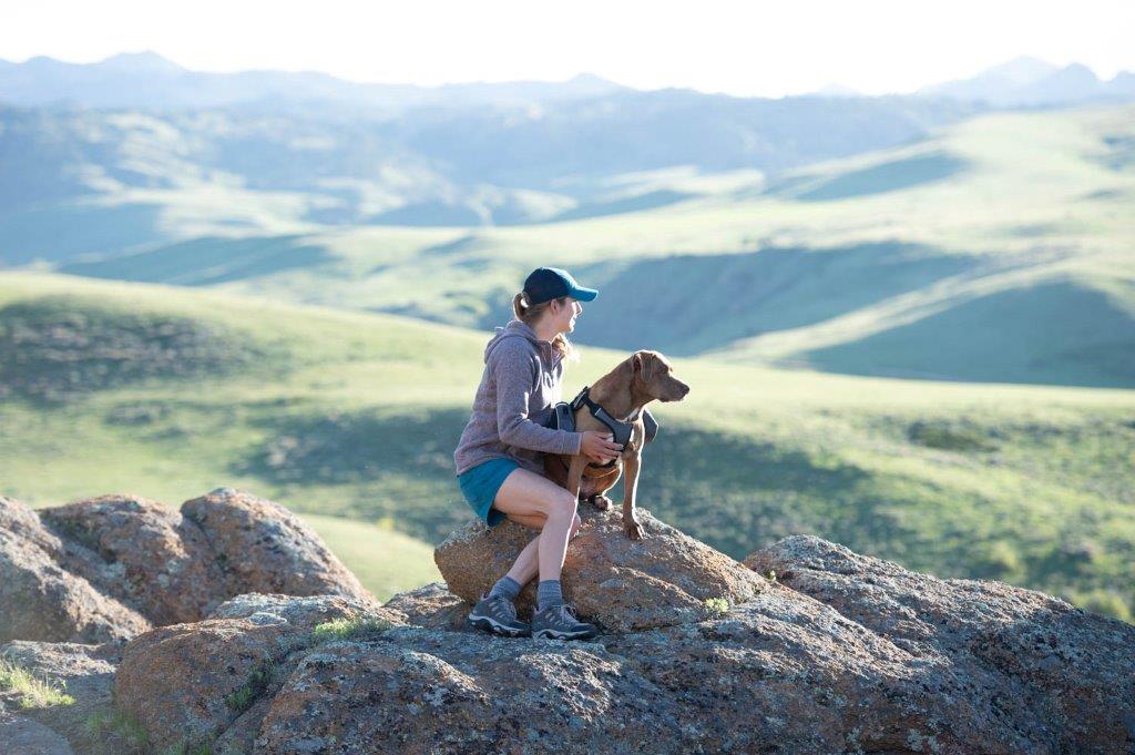 Hiking with your Dog for the First Time