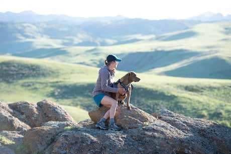 Hiking with your Dog for the First Time