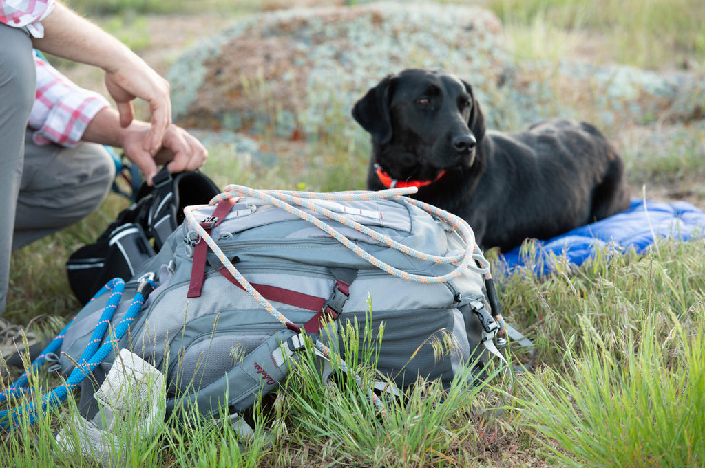 7 Things to Know About Backpacking With Dogs (Part 2 of 2)