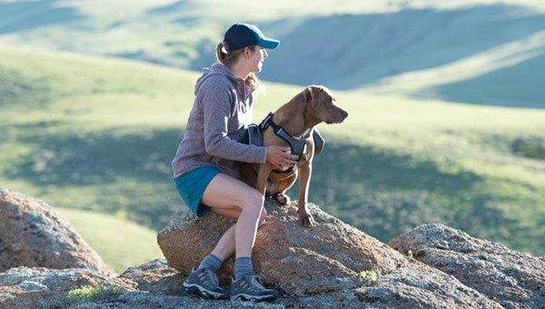 How to Check Your Dog for Injuries After Outdoor Adventures