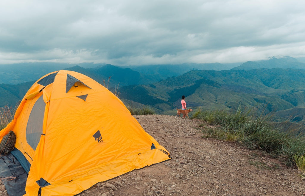 Necessities for Camping with Your Dog