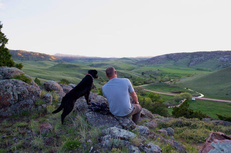 Be The Best Leader For Your Dog