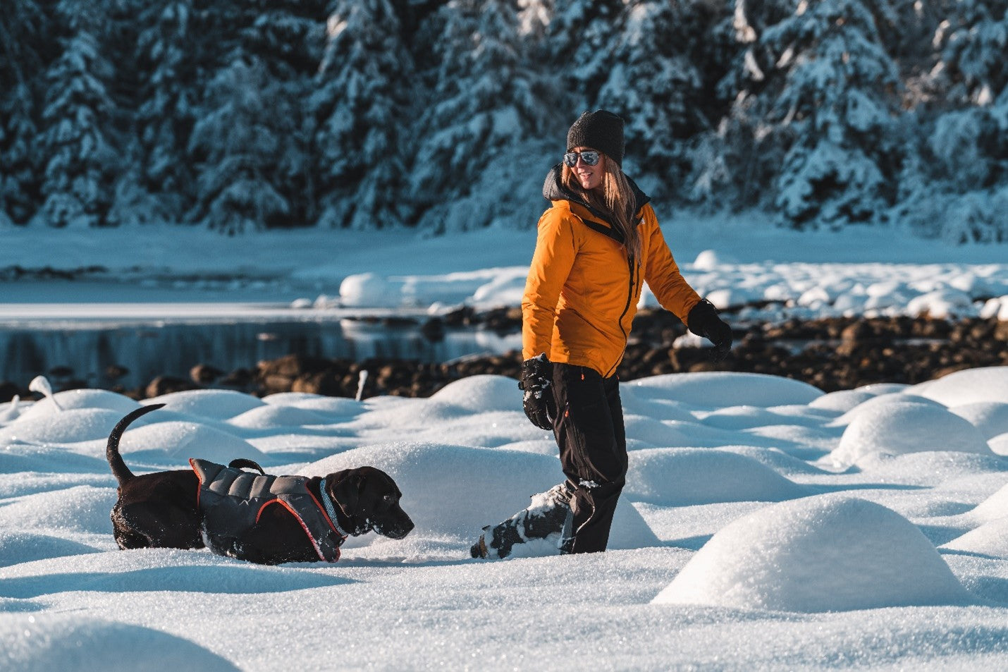6 Christmas Traditions to Start with Your Dog