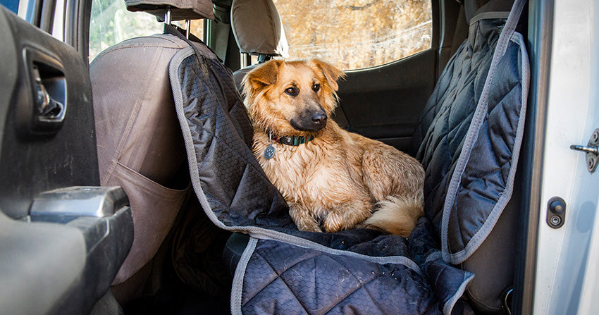 car seat cover