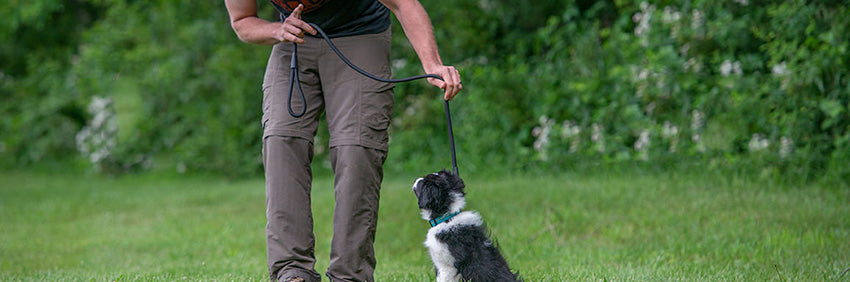 Terrain D.O.G. Laced Chain Slip Collar, 3.5mm or 3.9mm - Jeffers Terrain D.O.G. Laced Chain Slip Collar, 3.5mm or 3.9mm - Jeffers