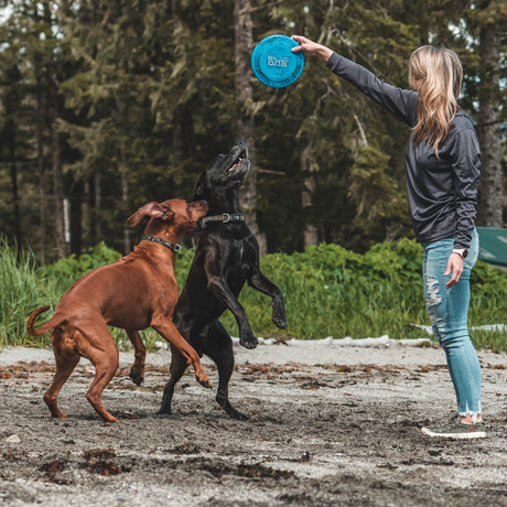 Terrain DOG Blue Flying Disc