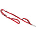 Bungee Leash
