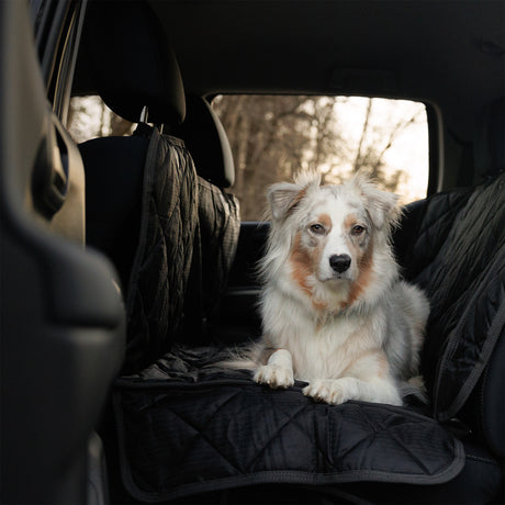 Car Seat Cover